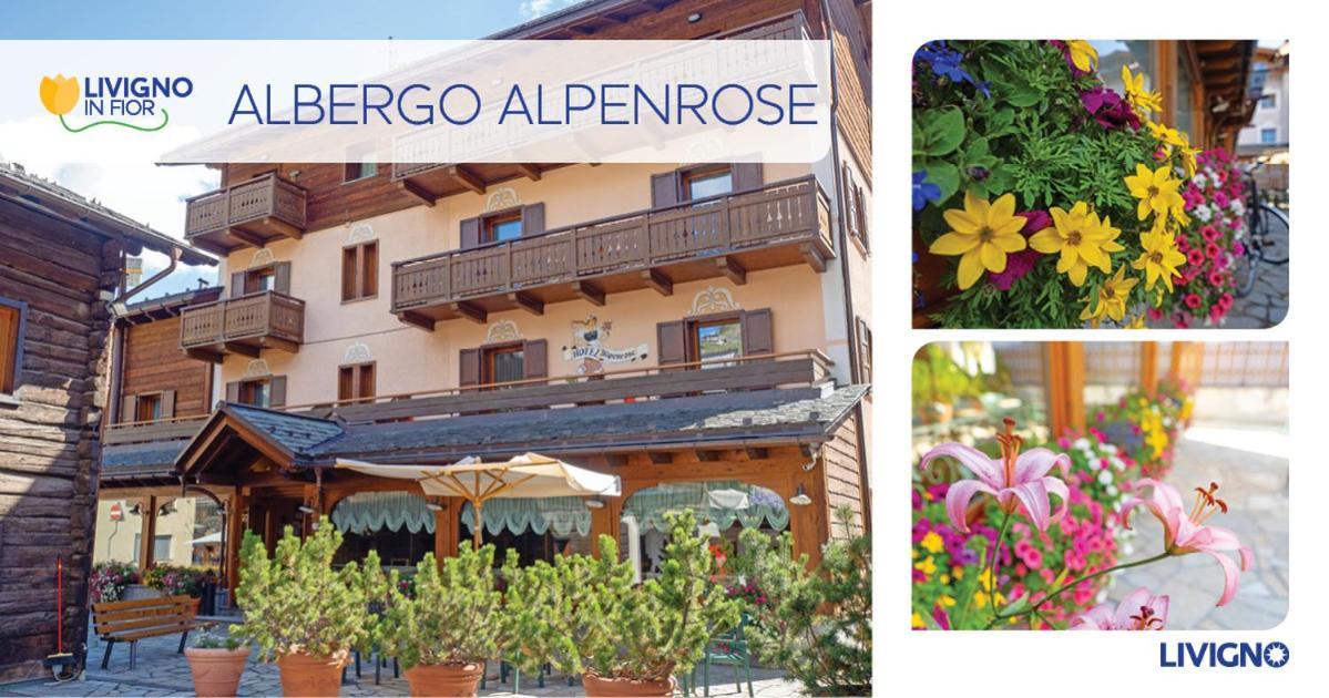 Albergo Alpenrose Livigno Eksteriør billede