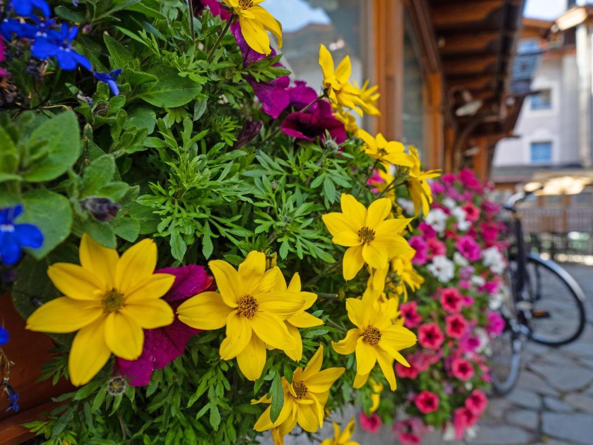 Albergo Alpenrose Livigno Eksteriør billede