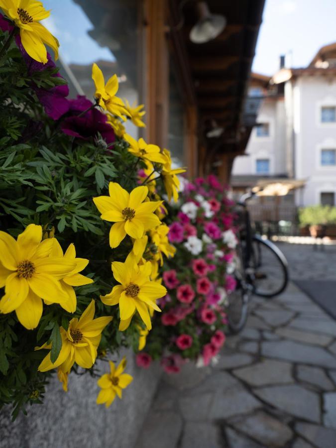 Albergo Alpenrose Livigno Eksteriør billede